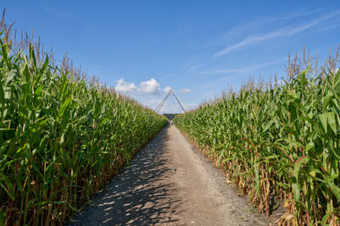 Gemeinde Atting Landkreis Straubing-Bogen Irrgarten Straubing (Dirschl Johann) Deutschland SR